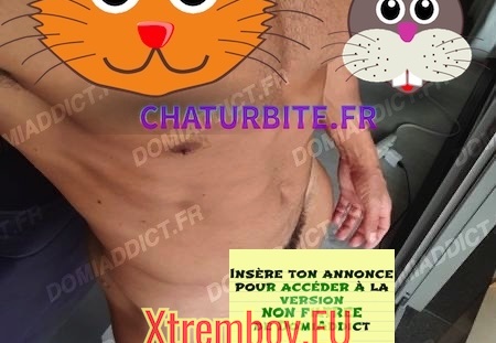 Algérien actif recherche passif