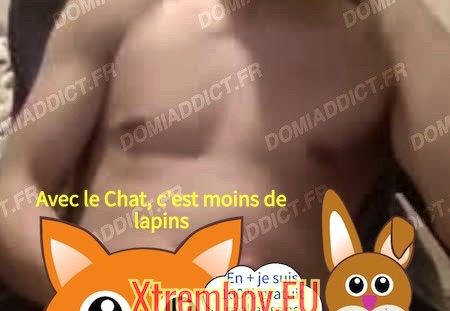 Ch maître sérieux et expérimenté