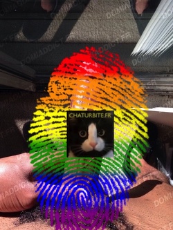 Nouveau mec black ici très bogoss