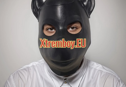 Masque de tête de chien réaliste