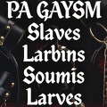 PA GAYSM Slaves Larbins Soumis Larves